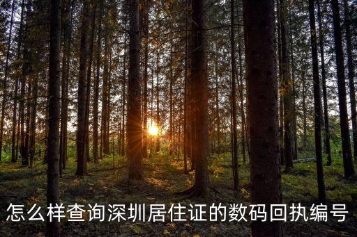 居住證編號，辦居住證的編碼怎么查
