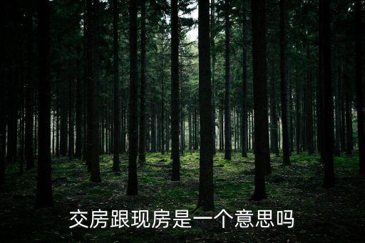交房跟現(xiàn)房是一個意思嗎
