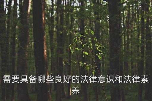 需要具備哪些良好的法律意識(shí)和法律素養(yǎng)