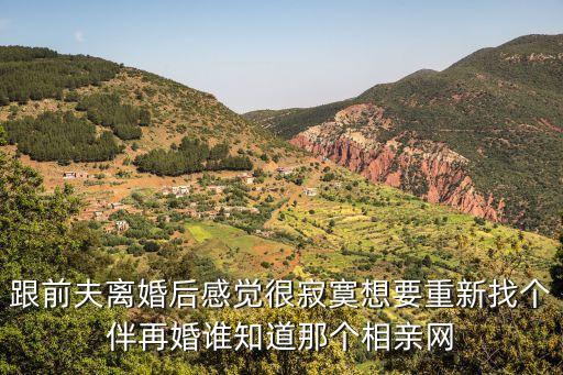 再婚征婚，離過(guò)婚想征婚去哪里好有沒(méi)有專門做再婚的婚介所