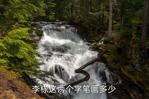 李棟，這個明星叫李棟什么來著