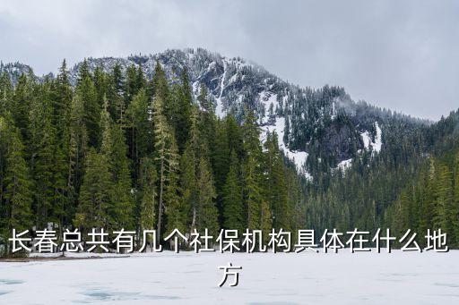長春總共有幾個社保機構具體在什么地方