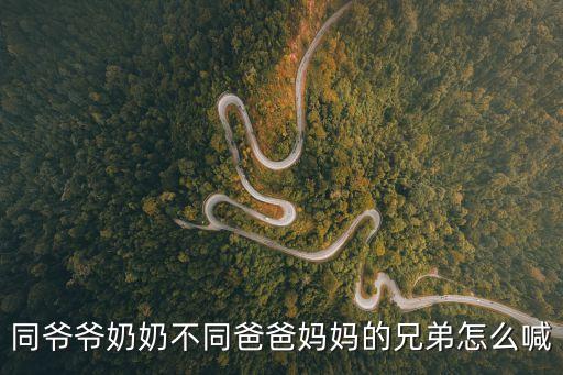 同爺爺奶奶不同爸爸媽媽的兄弟怎么喊
