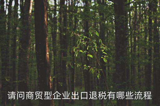 請問商貿(mào)型企業(yè)出口退稅有哪些流程
