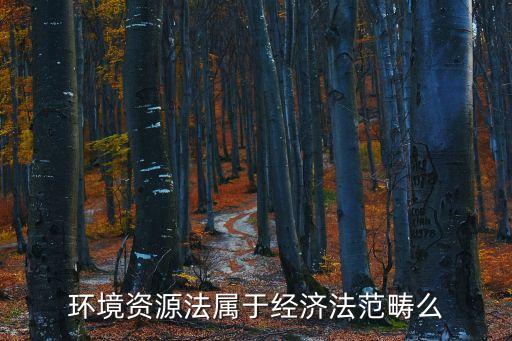 環(huán)境資源法屬于經(jīng)濟(jì)法范疇么
