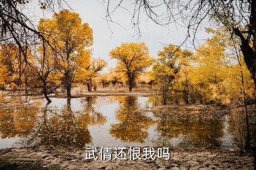 武倩還恨我嗎