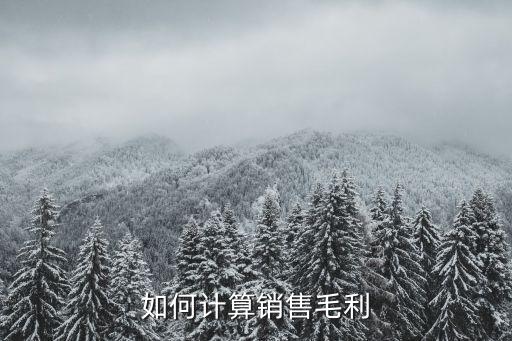 毛利潤怎么算，毛利潤怎么計算