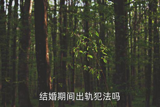 結(jié)婚期間出軌犯法嗎