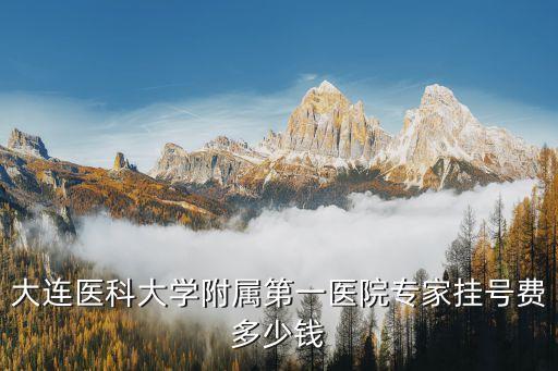 專家費(fèi)標(biāo)準(zhǔn)，副主任醫(yī)師掛號(hào)專家費(fèi)是多少啊