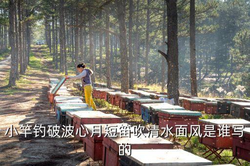 小竿釣破波心月短笛吹清水面風(fēng)是誰寫的