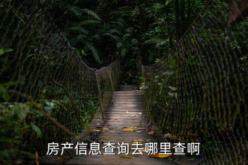 房產(chǎn)信息查詢去哪里查啊