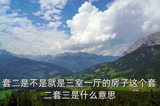 套二，房子所說的套二套三是什么意思