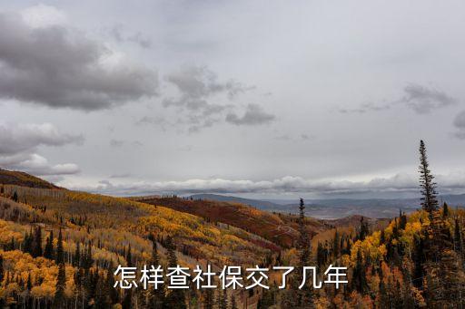 如何查詢社保交了幾年，怎么查社保交了多長時間