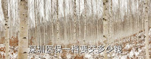 深圳一檔醫(yī)保，深圳社保最低一檔包含哪些保險