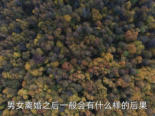 男女離婚之后一般會有什么樣的后果
