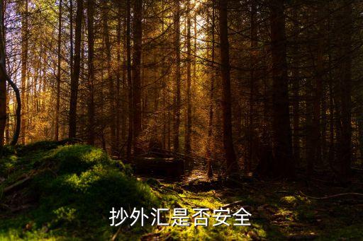 抄外匯，抄外匯是否安全