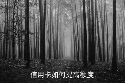 信用卡怎么提升額度，如何加大信用卡額度