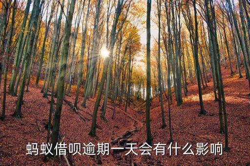 螞蟻借唄逾期一天會有什么影響