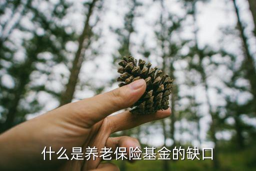 養(yǎng)老金缺口，為什么中國(guó)養(yǎng)老金會(huì)有缺口