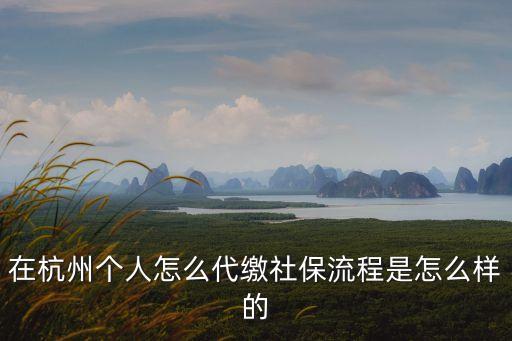 在杭州個(gè)人怎么代繳社保流程是怎么樣的