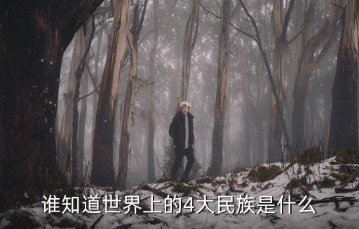 誰(shuí)知道世界上的4大民族是什么