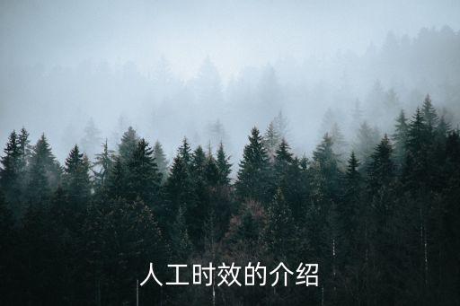 人工時(shí)效，人工時(shí)效的介紹