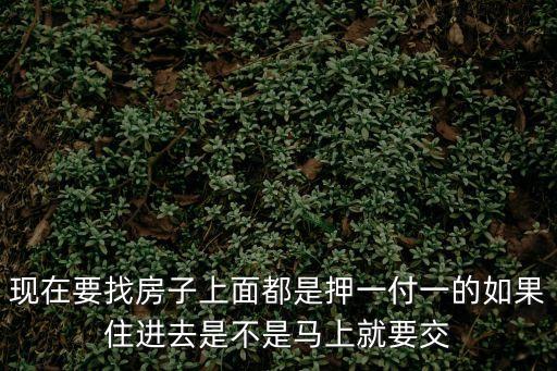 現(xiàn)在要找房子上面都是押一付一的如果住進(jìn)去是不是馬上就要交
