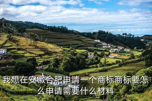 合肥商標(biāo)注冊，我想在安徽合肥申請一個商標(biāo)商標(biāo)要怎么申請需要什么材料