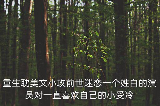 重生耽美文小攻前世迷戀一個(gè)姓白的演員對(duì)一直喜歡自己的小受冷