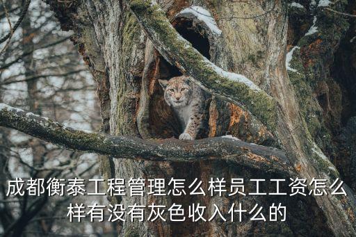 成都衡泰工程管理怎么樣員工工資怎么樣有沒有灰色收入什么的