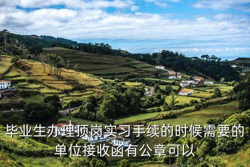 畢業(yè)生辦理頂崗實(shí)習(xí)手續(xù)的時(shí)候需要的單位接收函有公章可以