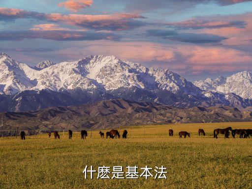 基本法，我國基本法律包括哪些