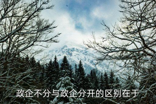 政企不分，政企不分的利弊分析