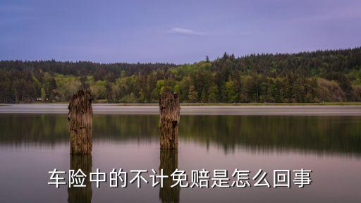 車險中的不計免賠是怎么回事