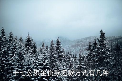 十七公積金貸款還款方式有幾種