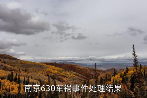 張明寶，南京630車禍?zhǔn)录幚斫Y(jié)果