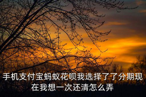 花唄分期怎么提前還款，螞蟻花唄分期付款可以提前還款嗎