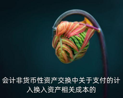 會計非貨幣性資產(chǎn)交換中關于支付的計入換入資產(chǎn)相關成本的