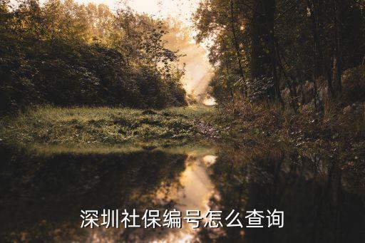 深圳社保查詢，深圳社保怎樣查詢余額