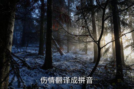 傷情翻譯成拼音