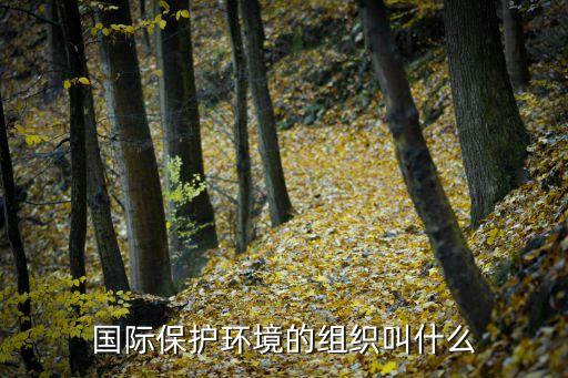 國(guó)際保護(hù)環(huán)境的組織叫什么