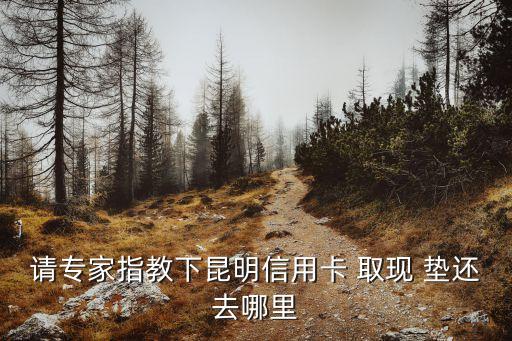 信用卡取現(xiàn)，請(qǐng)專家指教下昆明信用卡 取現(xiàn) 墊還去哪里