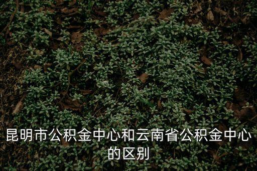昆明市公積金中心和云南省公積金中心的區(qū)別