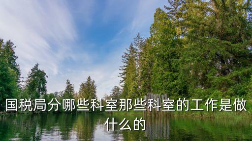 國稅局分哪些科室那些科室的工作是做什么的