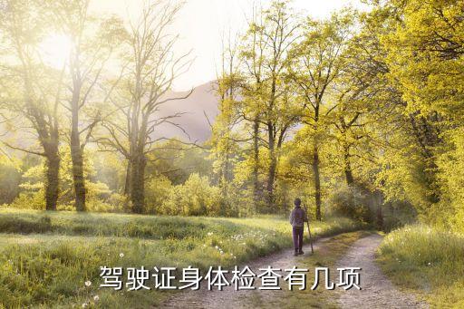 駕駛證身體檢查有幾項