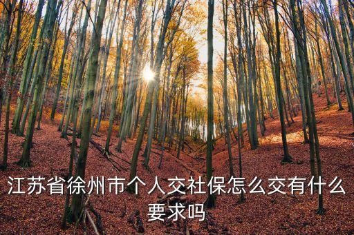 江蘇社保繳費(fèi)，江蘇省企業(yè)養(yǎng)老保險(xiǎn)交納辦法