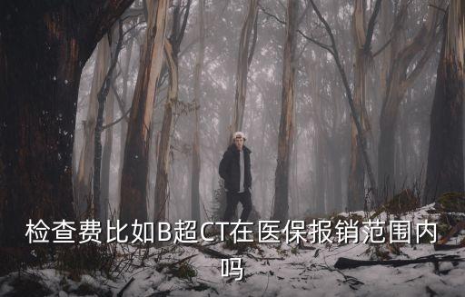 檢查費比如B超CT在醫(yī)保報銷范圍內(nèi)嗎