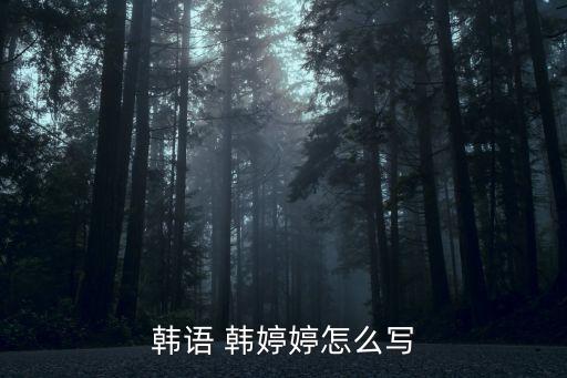 韓婷婷，韓語(yǔ) 韓婷婷怎么寫(xiě)