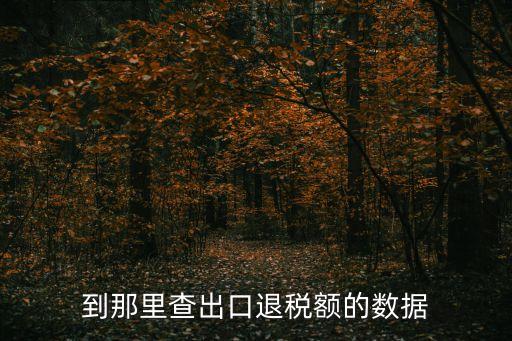 退稅查詢，知道某種商品的商品編碼想查出口退稅率在網(wǎng)上哪里查謝謝