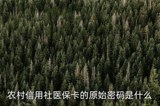 醫(yī)保密碼，西安市醫(yī)保卡初始密碼是多少